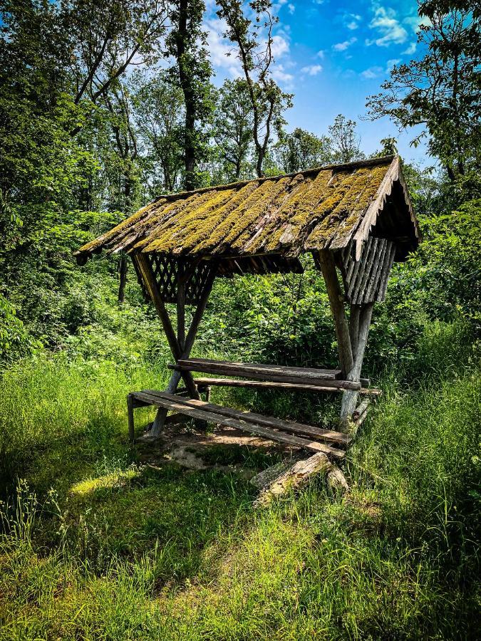 Gaestehaus An Der Berbke Arnsberg Bagian luar foto